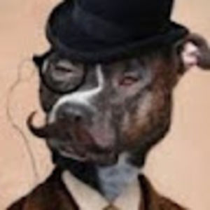 Meet your Posher, Levi